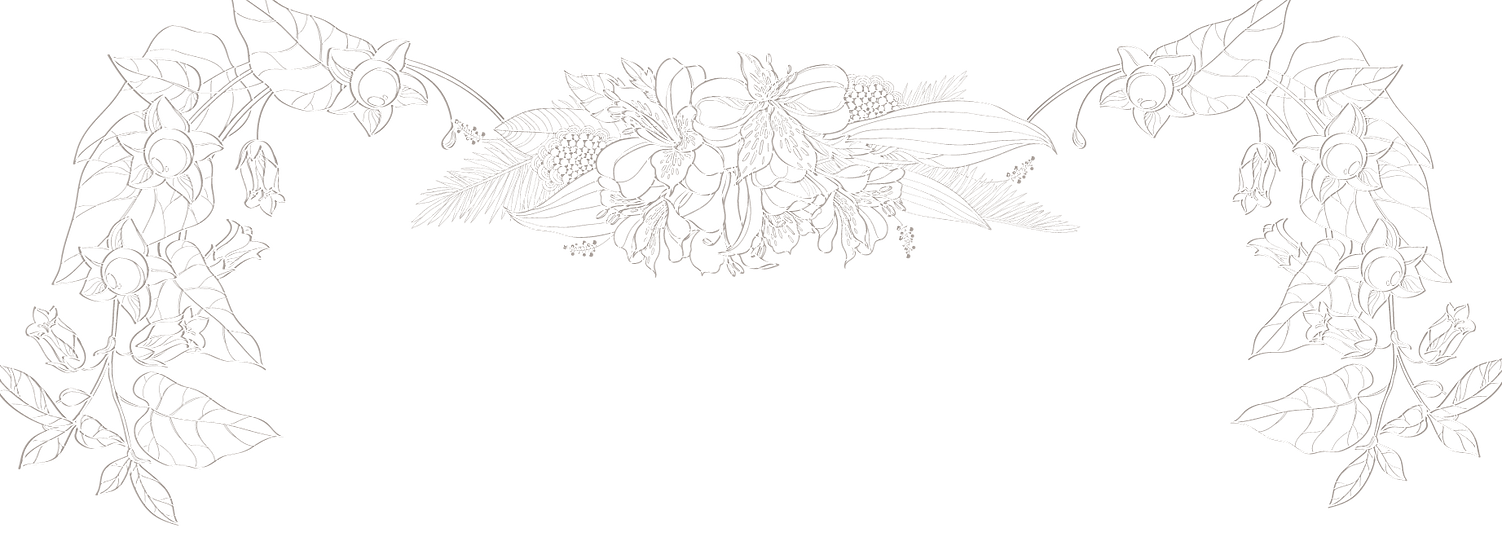 ilustraciones (8).png