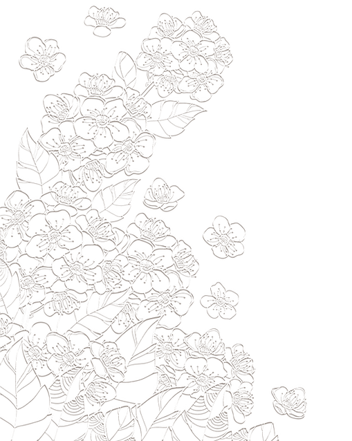 ilustraciones (5).png