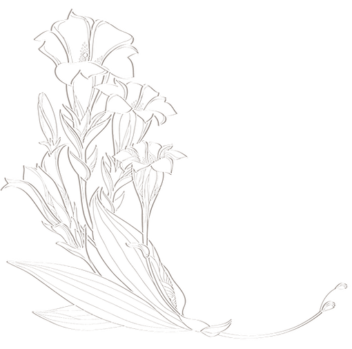 ilustraciones (3).png