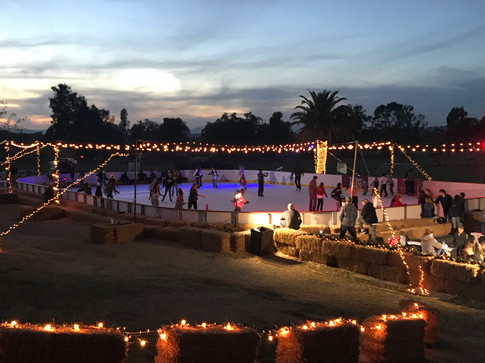 The Holidays On Ice.jpg