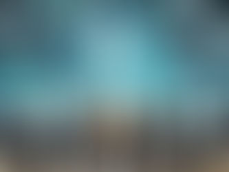 Cross-Border Enforcement and Arrests