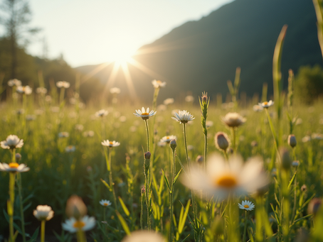 Verminder Je CO2-voetafdruk met Viva Verde Voyages