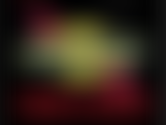 SUNOCO AND VAN MANEN JOIN BERLIN RACEWAY IN 2021