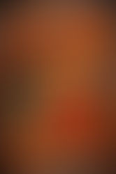 Hasičský maškarní bál