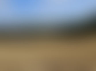 25.7.2024 Požár pole