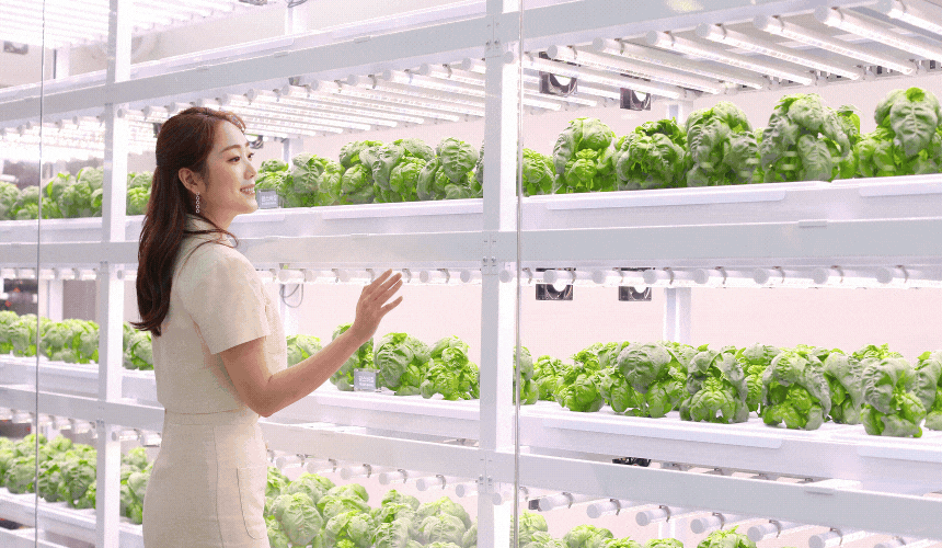 팜365.gif