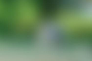 元気いっぱいの兄弟が七五三の着物を着て笑顔で遊ぶ写真