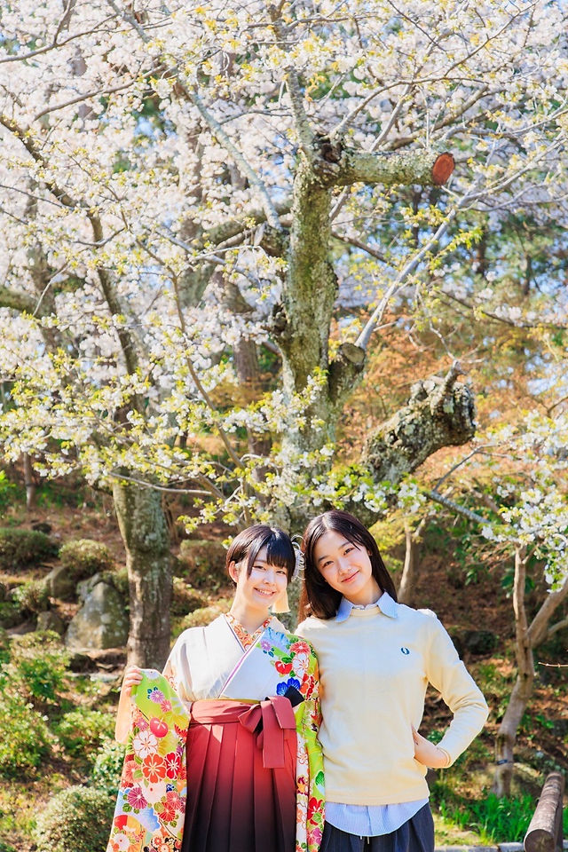 満開の桜の下、旧吉田茂邸で美しく着飾った姉妹が笑顔で並ぶ卒業記念の家族写真。春のやわらかな光に包まれた、家族の温かな思い出を写した一枚。