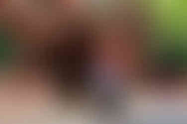 赤坂の日枝神社でのお宮参り撮影。赤ちゃんと家族が神社の境内で神聖な瞬間を迎える写真。