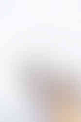 横浜・臨港パークでのペット撮影。シニア犬と飼い主夫婦が笑顔で寄り添う、自然光に包まれた家族写真。出張撮影ならではのリラックスした雰囲気が伝わる一枚