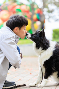 横浜・臨港パークでのペット撮影。シニア犬と飼い主夫婦が笑顔で寄り添う、自然光に包まれた家族写真。出張撮影ならではのリラックスした雰囲気が伝わる一枚