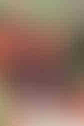 七五三 撮影 東京 神奈川 横浜。自然な笑顔を見せるお子様の記念写真。リラックスした雰囲気で撮影