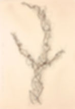 Tree With Strings I