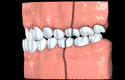3-dental.webp