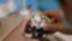 teeth1.jpg