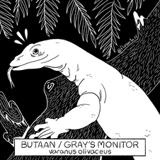 08-06-2022 - Butaan Grays Monitor.PNG