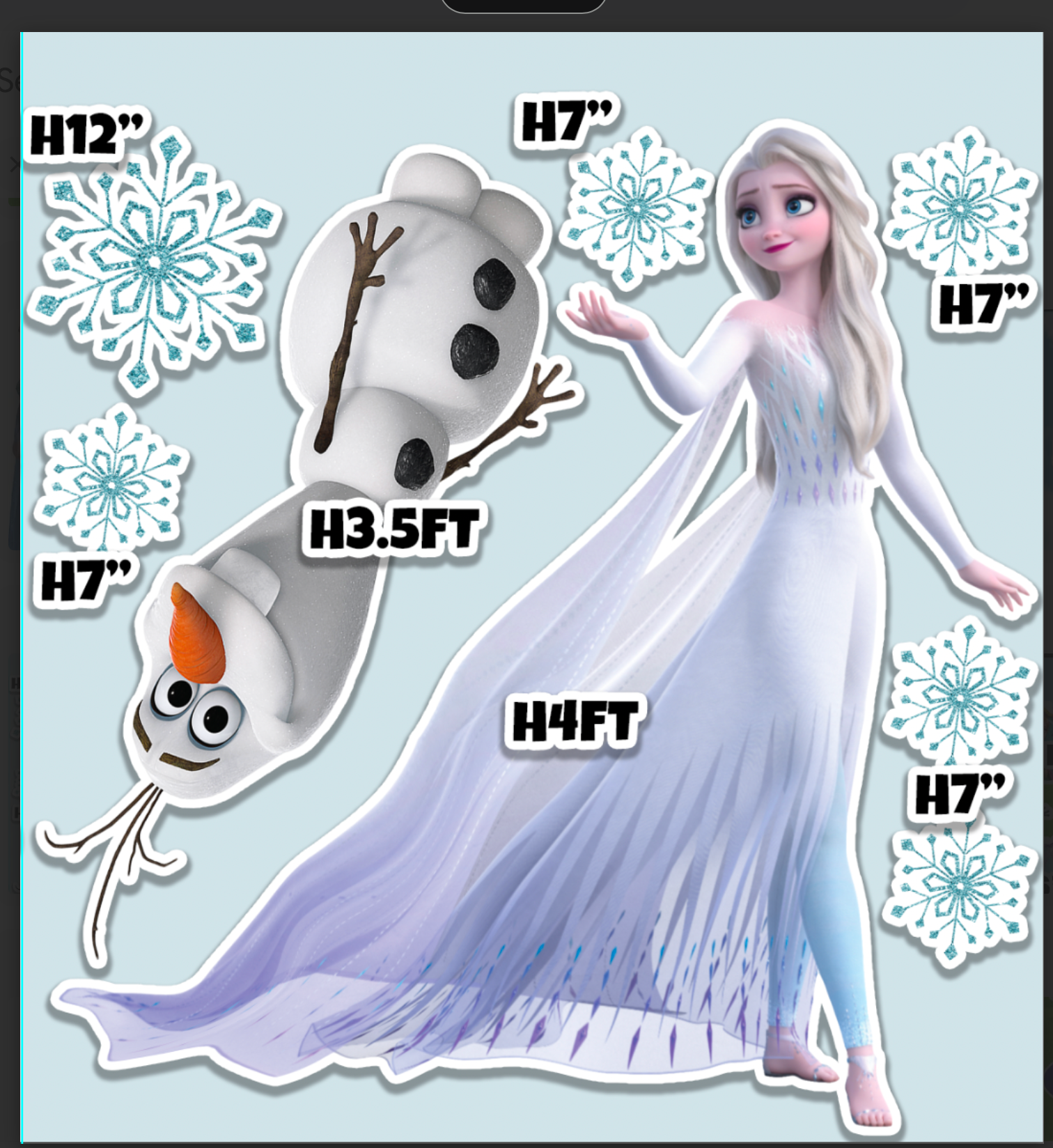 Frozen Princess AB1577 HS BACKDROP Crorplast