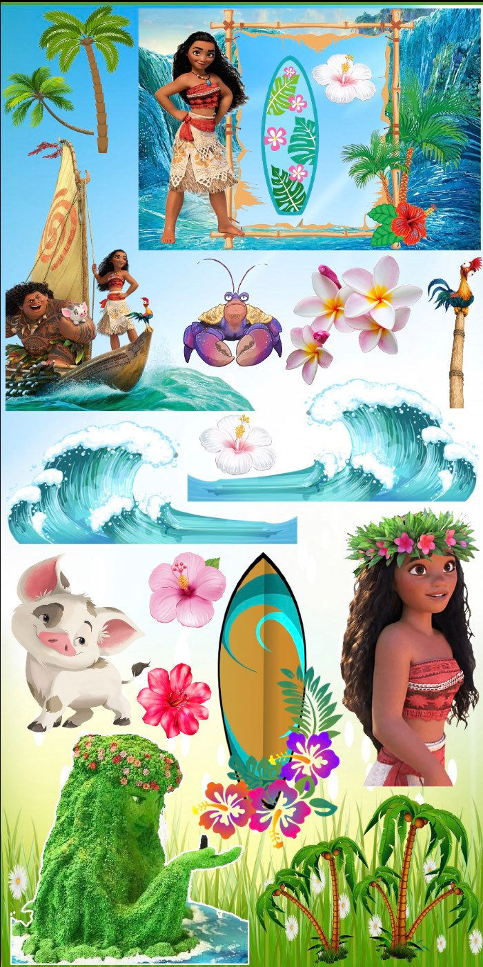 RA122FS Princess Moana summer set