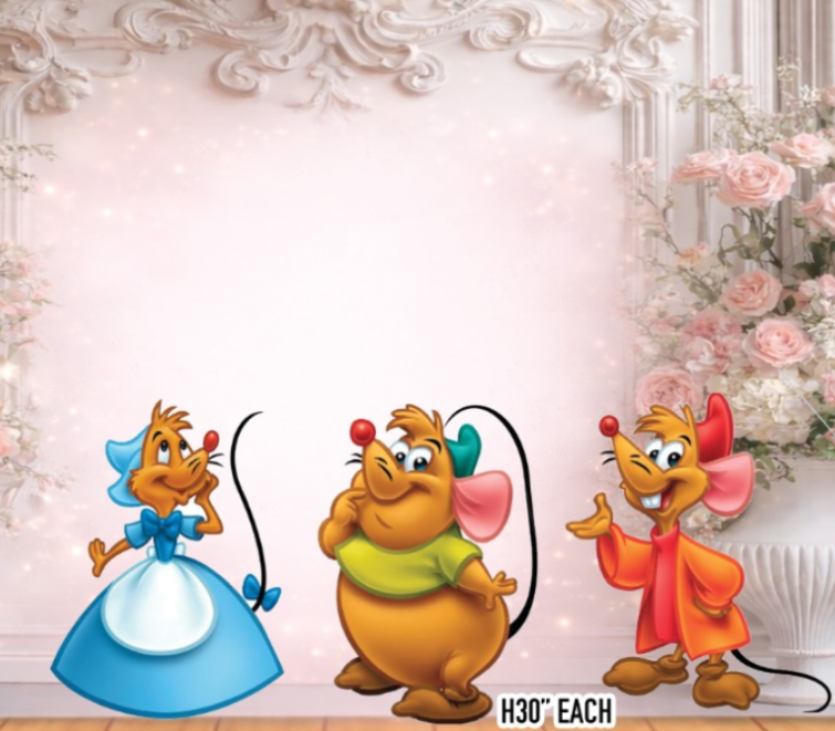 RA3954 Princess Cinderella hs