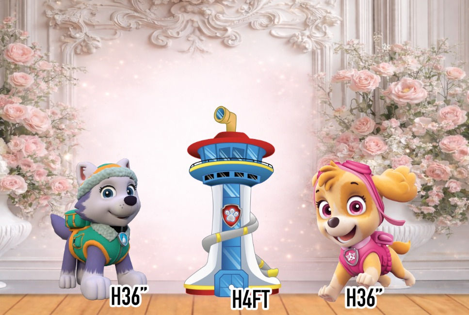 RA3996 PAW PATROL RB