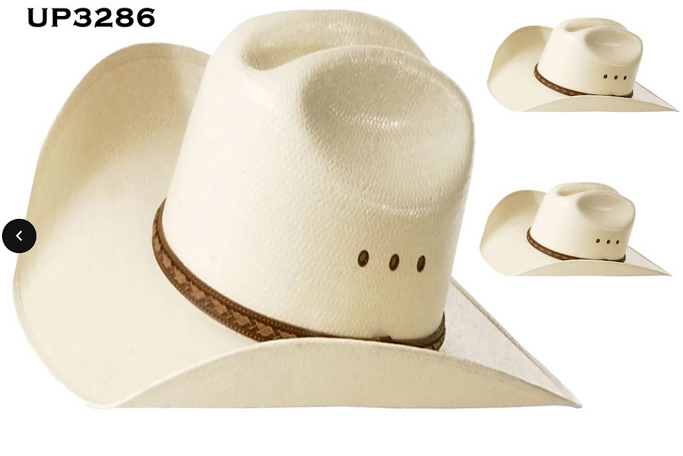 UP3286 3QS CAWBOY HAT
