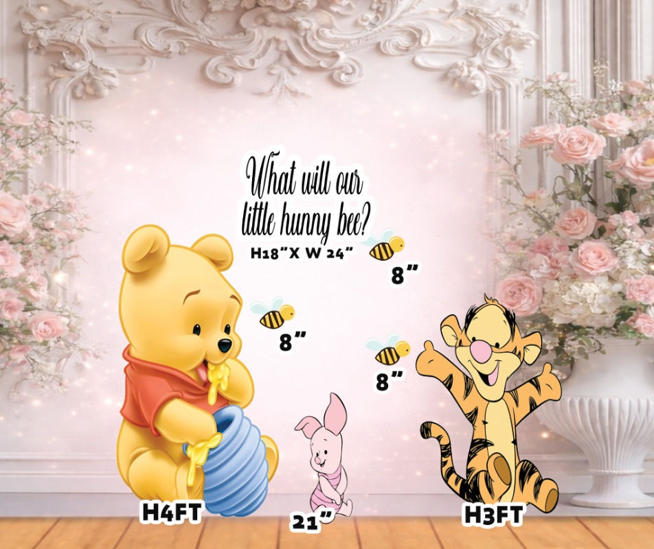 RA3646 WINNIE THE POOH 3QS
