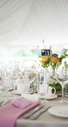 Destination Wedding Puerto Vallarta