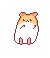 Hampster Gif.gif