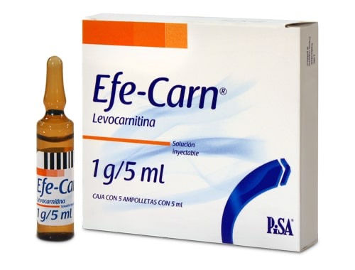 Thumbnail: EFE-CARN