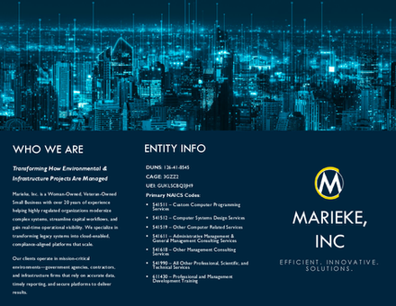 Marieke Executive White Paper - Service Areas V2_Page_1.png