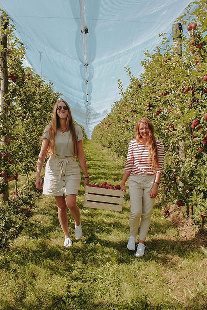 bioapfel_event_werbung_blattgruen-683x1024.jpeg
