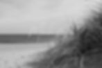 Beach Dunes