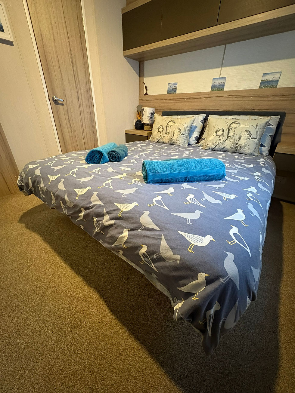 The Queen bed in the Master Bedroom