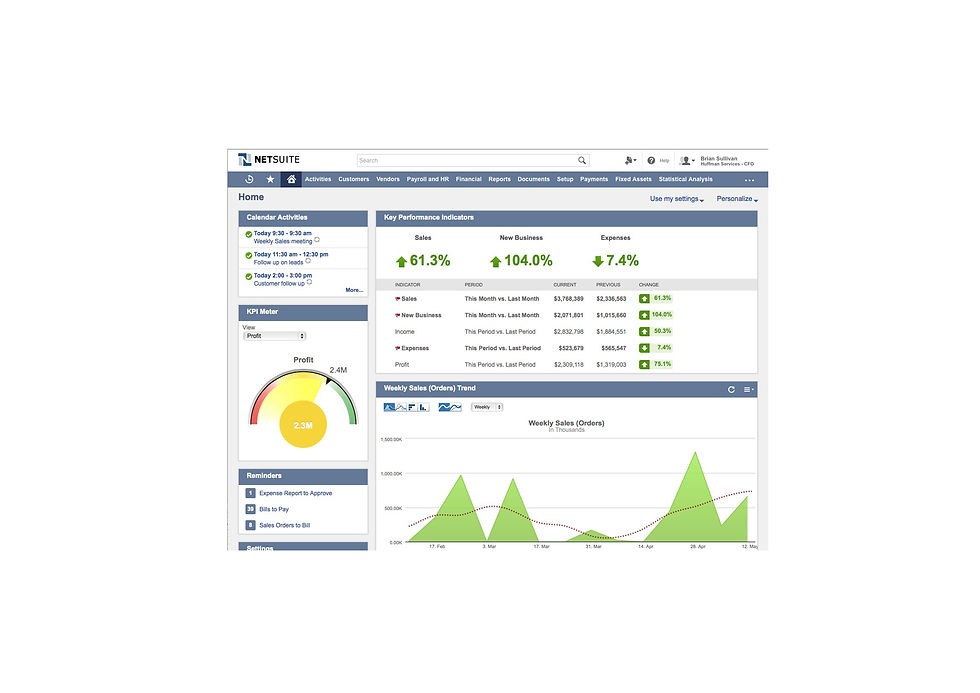 Netsuite Cloud ERP