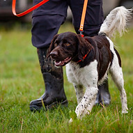 NAtestday23-7.jpg