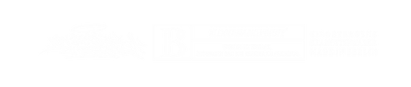 Berlin-bruder-kmb.png