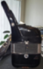 Titano Accordion.