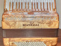 Scandalli Tierra Olive Root
Accordions by De Vincenzo, Accordions Heaven, Miami, Fl