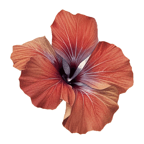 rotate-flower-3.gif