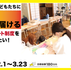 クラウドファンディングに挑戦中！