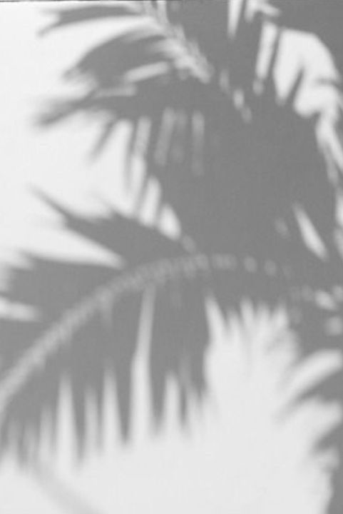 BE37A077-20EE-4F75-86CE-7699C6C2A340.jpeg