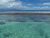 Image by solenehascoet56 from Pixabay _______ lagoon-1672197_1280.jpg