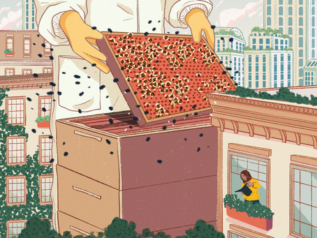 (Opinion) Backyard bees disfigure yards in ways we are only beginning to comprehend