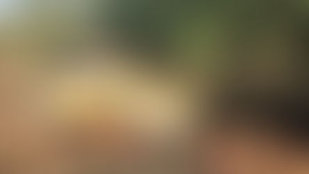 Acidente de trânsito na Av. Ludwig Eckes .