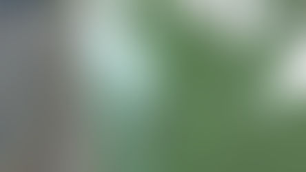 Manchas e mudança na coloração da água preocupam frequentadores do Parque Ecológico