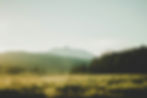 photo-1548431228-d6c47908d2b5.jpeg