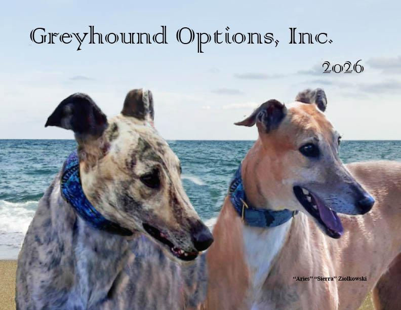 Now Available - 2026 Greyhound Calendars