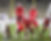 Empty.png