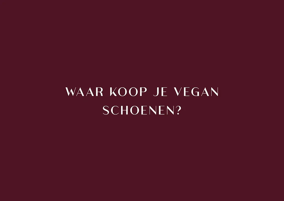 Bordeauxrode banner met de vraag 'WAAR KOOP JE VEGAN SCHOENEN?