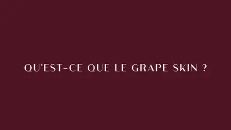 Qu'est-ce que le Grape Skin® Vegea?